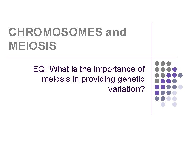CHROMOSOMES and MEIOSIS EQ: What is the importance of meiosis in providing genetic variation?
