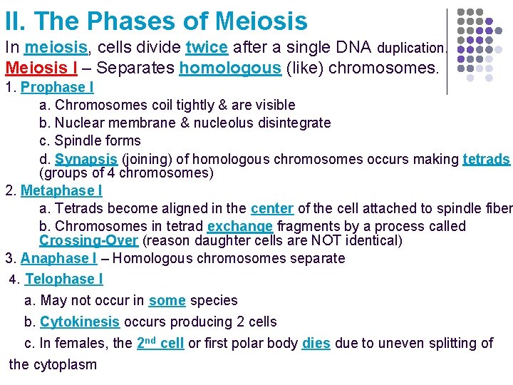 II. The Phases of Meiosis In meiosis, cells divide twice after a single DNA