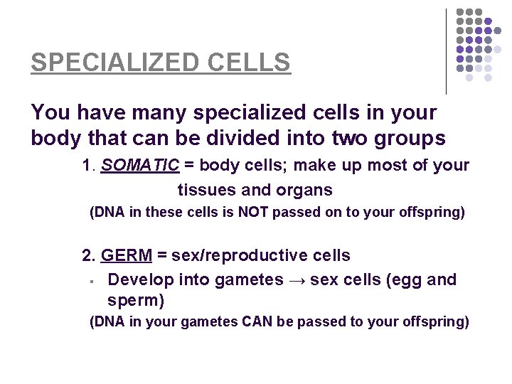 SPECIALIZED CELLS You have many specialized cells in your body that can be divided