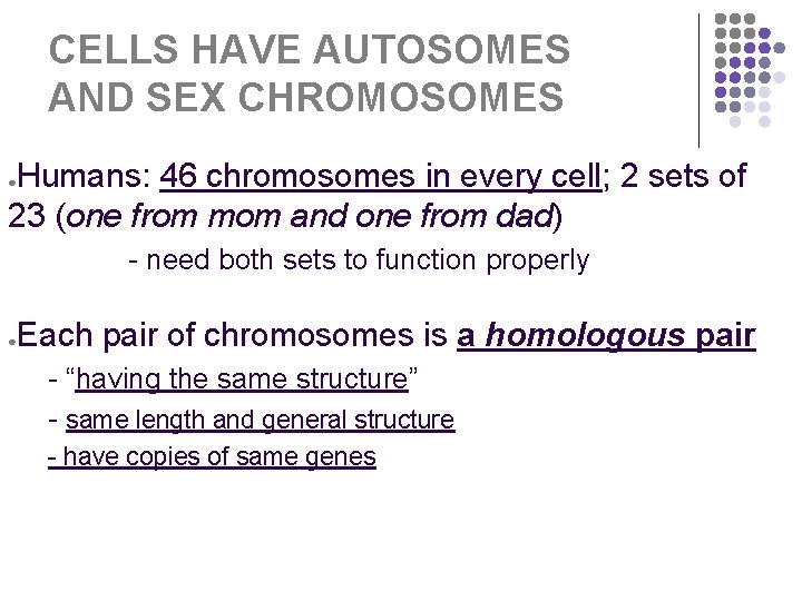 CELLS HAVE AUTOSOMES AND SEX CHROMOSOMES Humans: 46 chromosomes in every cell; 2 sets