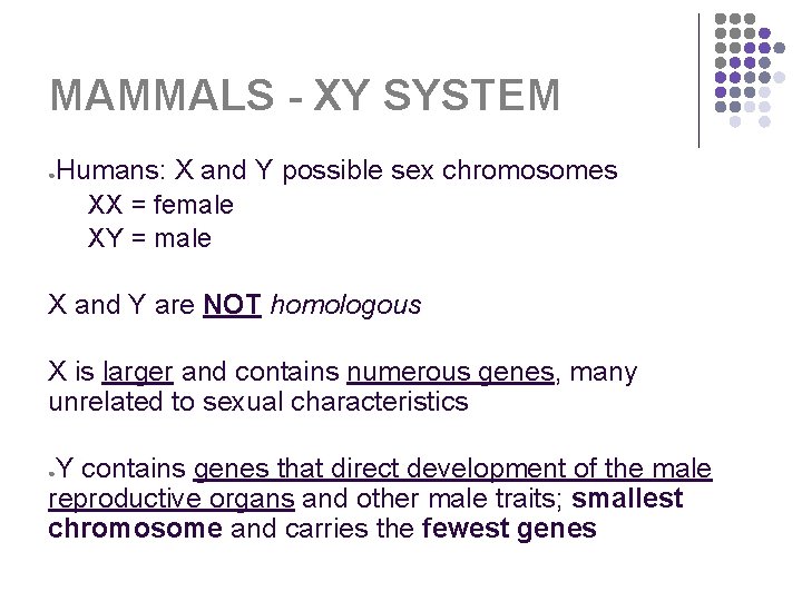 MAMMALS - XY SYSTEM Humans: X and Y possible sex chromosomes XX = female