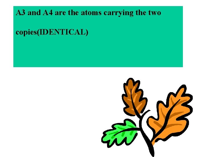 A 3 and A 4 are the atoms carrying the two copies(IDENTICAL) A 3 and A 4 are the atoms carrying the two copies(IDENTICAL)