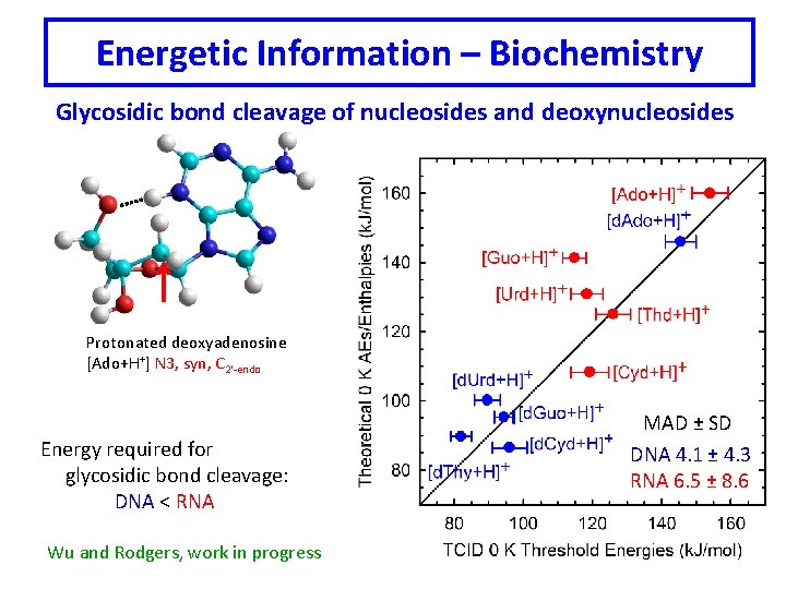 Energetic Information – Biochemistry Glycosidic bond cleavage of nucleosides and deoxynucleosides Protonated deoxyadenosine [Ado+H+]