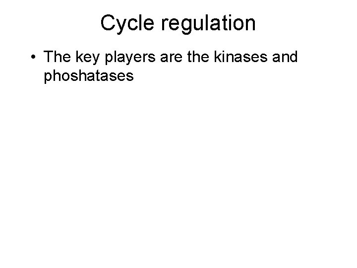 Cycle regulation • The key players are the kinases and phoshatases 