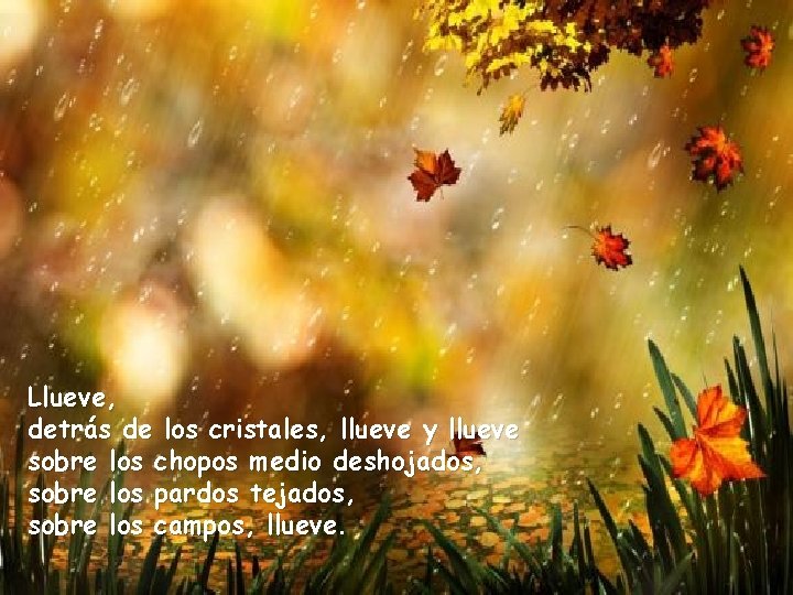 Llueve, detrás de los cristales, llueve y llueve sobre los chopos medio deshojados, sobre