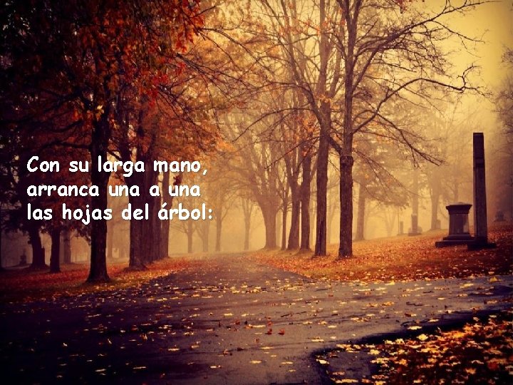 Con su larga mano, arranca una las hojas del árbol: 