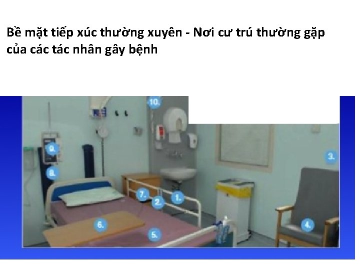 Bề mặt tiếp xúc thường xuyên - Nơi cư trú thường gặp của các