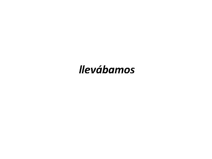 llevábamos 