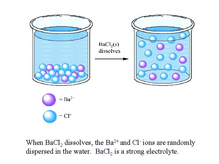 When Ba. Cl 2 dissolves, the Ba 2+ and Cl- ions are randomly dispersed