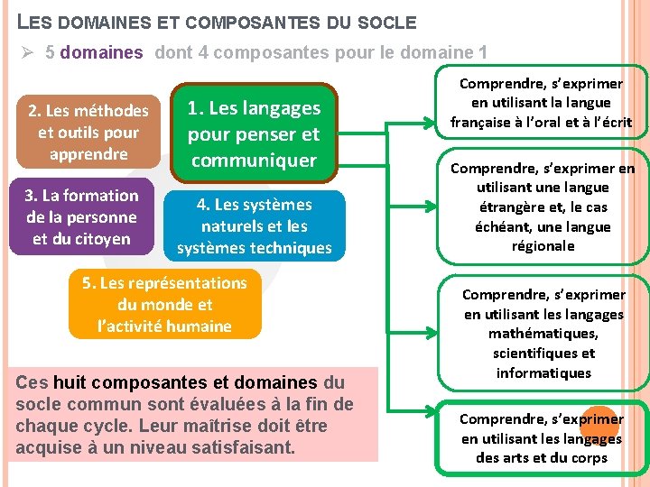 LES DOMAINES ET COMPOSANTES DU SOCLE Ø 5 domaines dont 4 composantes pour le