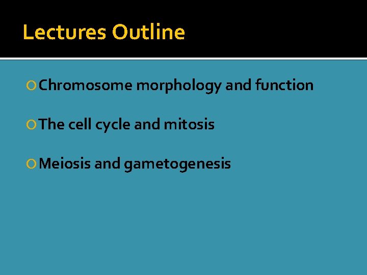 Lectures Outline Chromosome morphology and function The cell cycle and mitosis Meiosis and gametogenesis