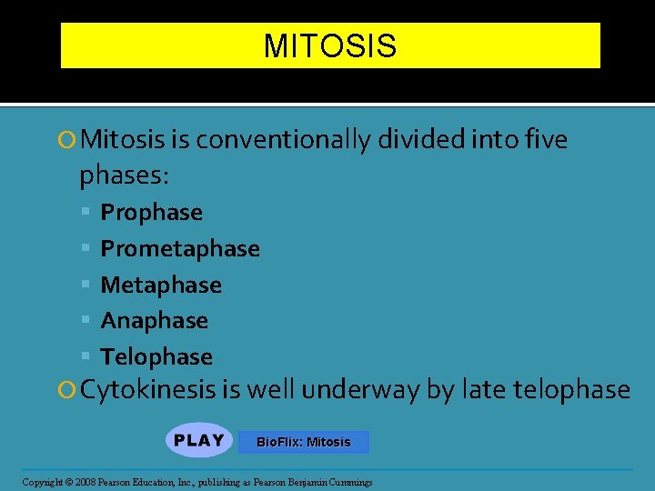 MITOSIS Mitosis is conventionally divided into five phases: Prophase Prometaphase Metaphase Anaphase Telophase Cytokinesis