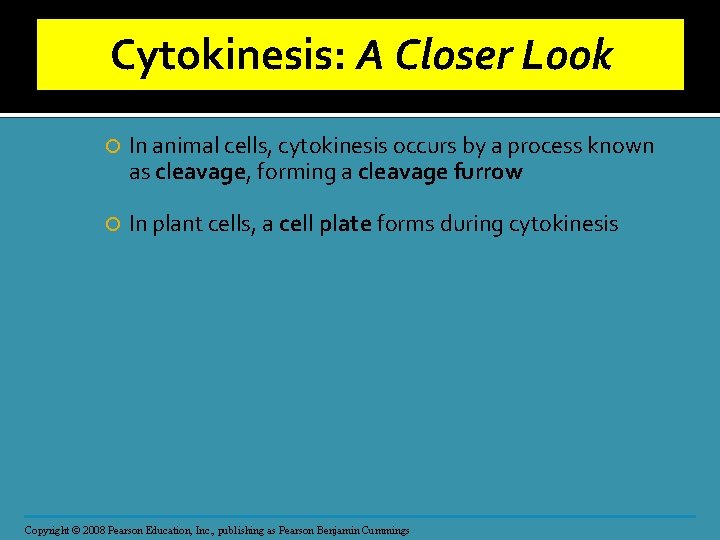 Cytokinesis: A Closer Look In animal cells, cytokinesis occurs by a process known as