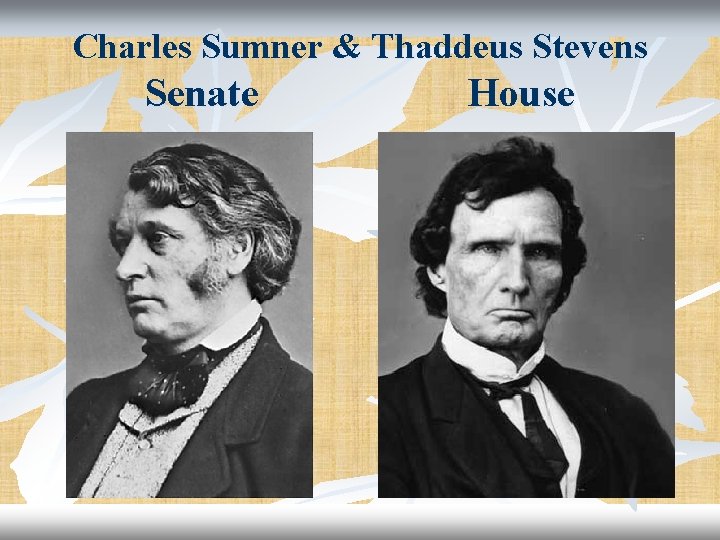 Charles Sumner & Thaddeus Stevens Senate House 