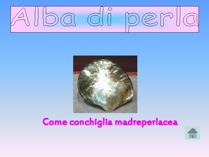 Come conchiglia madreperlacea 