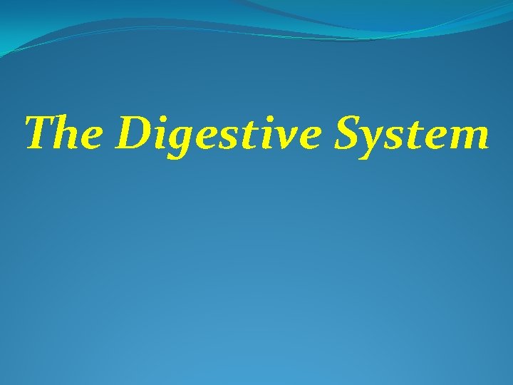 The Digestive System 