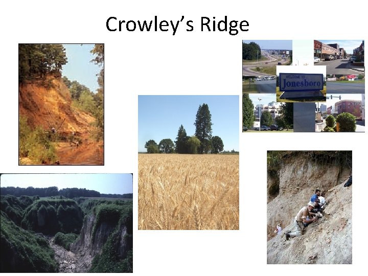 Crowley’s Ridge 