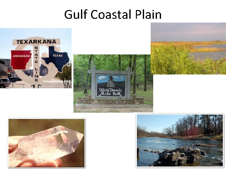 Gulf Coastal Plain 