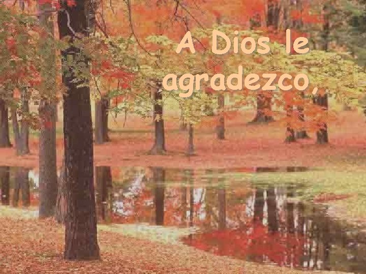 A Dios le agradezco, 