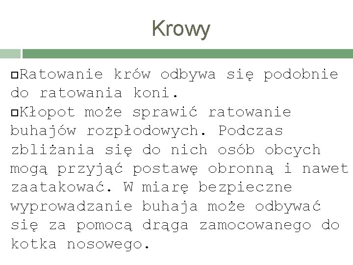 Krowy Ratowanie krów odbywa się podobnie do ratowania koni. Kłopot może sprawić ratowanie buhajów