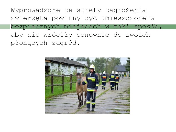 Wyprowadzone ze strefy zagrożenia zwierzęta powinny być umieszczone w bezpiecznych miejscach w taki sposób, Wyprowadzone ze strefy zagrożenia zwierzęta powinny być umieszczone w bezpiecznych miejscach w taki sposób,