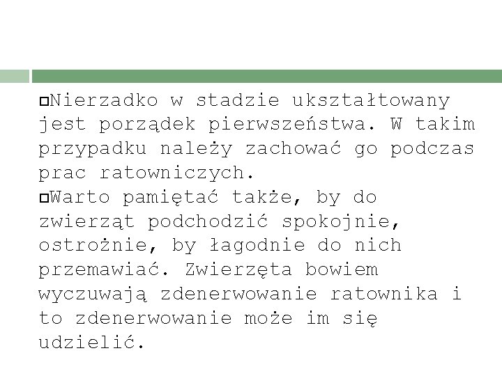 Nierzadko w stadzie ukształtowany jest porządek pierwszeństwa. W takim przypadku należy zachować go podczas