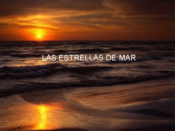 LAS ESTRELLAS DE MAR 