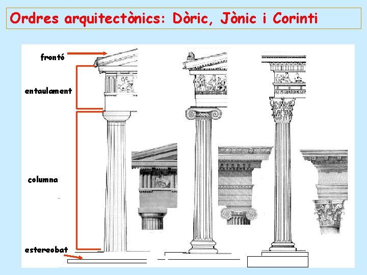 Ordres arquitectònics: Dòric, Jònic i Corinti frontó entaulament columna estereobat 