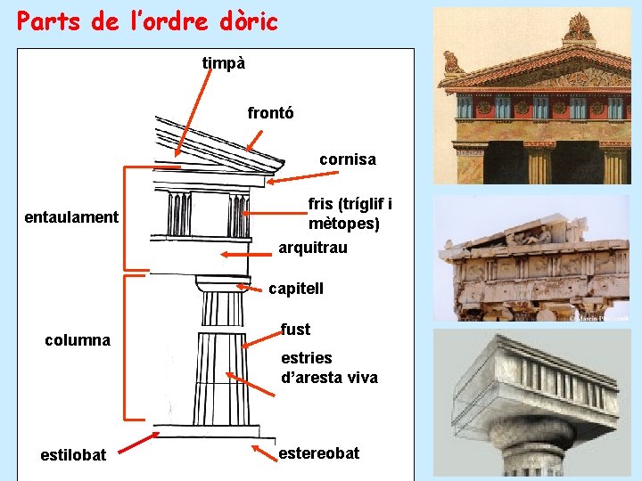 Parts de l’ordre dòric timpà frontó cornisa entaulament fris (tríglif i mètopes) arquitrau capitell