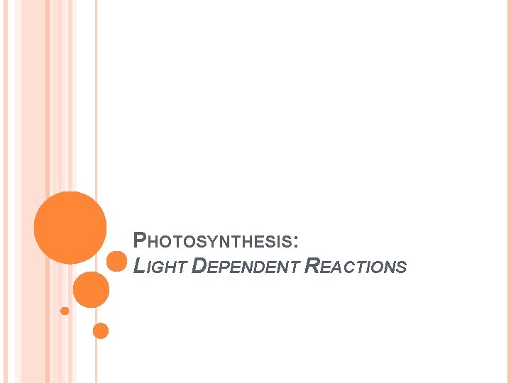 PHOTOSYNTHESIS: LIGHT DEPENDENT REACTIONS 