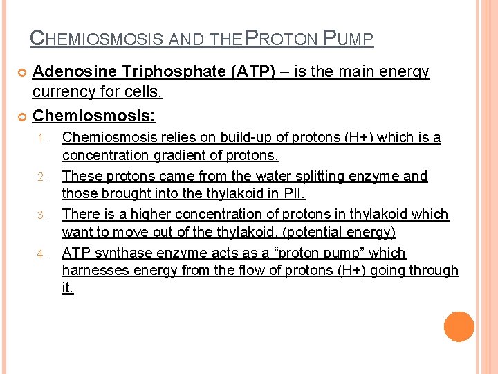 CHEMIOSMOSIS AND THE PROTON PUMP Adenosine Triphosphate (ATP) – is the main energy currency