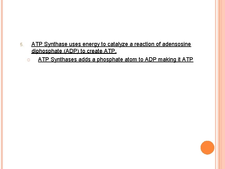 ATP Synthase uses energy to catalyze a reaction of adensosine diphosphate (ADP) to create