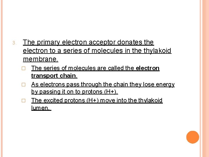3. The primary electron acceptor donates the electron to a series of molecules in