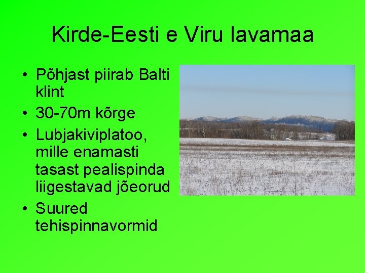 Kirde-Eesti e Viru lavamaa • Põhjast piirab Balti klint • 30 -70 m kõrge