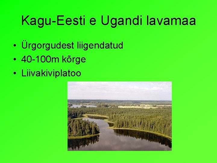 Kagu-Eesti e Ugandi lavamaa • Ürgorgudest liigendatud • 40 -100 m kõrge • Liivakiviplatoo