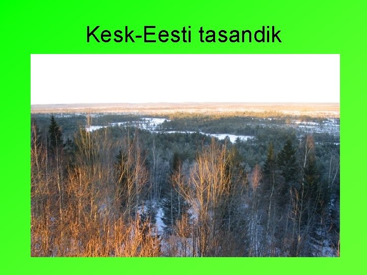 Kesk-Eesti tasandik 