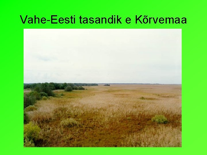 Vahe-Eesti tasandik e Kõrvemaa 