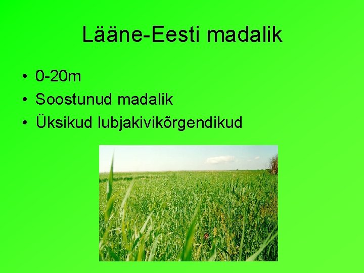 Lääne-Eesti madalik • 0 -20 m • Soostunud madalik • Üksikud lubjakivikõrgendikud 