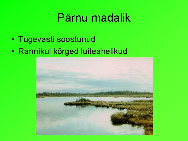 Pärnu madalik • Tugevasti soostunud • Rannikul kõrged luiteahelikud 