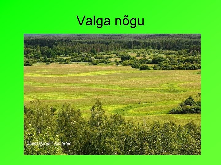 Valga nõgu 