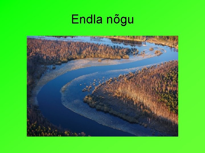 Endla nõgu 