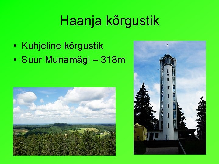 Haanja kõrgustik • Kuhjeline kõrgustik • Suur Munamägi – 318 m 