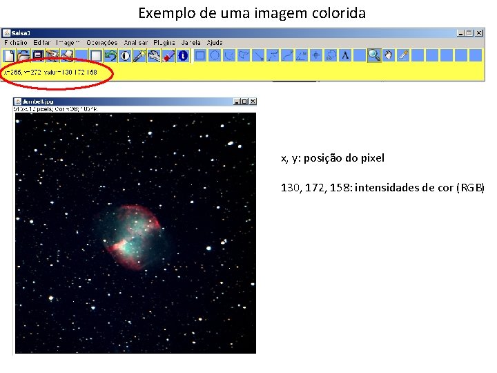 Exemplo de uma imagem colorida x, y: posição do pixel 130, 172, 158: intensidades