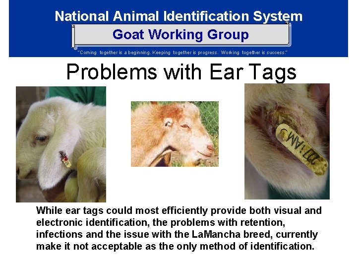 National Animal Identification System Goat Working Group Coming