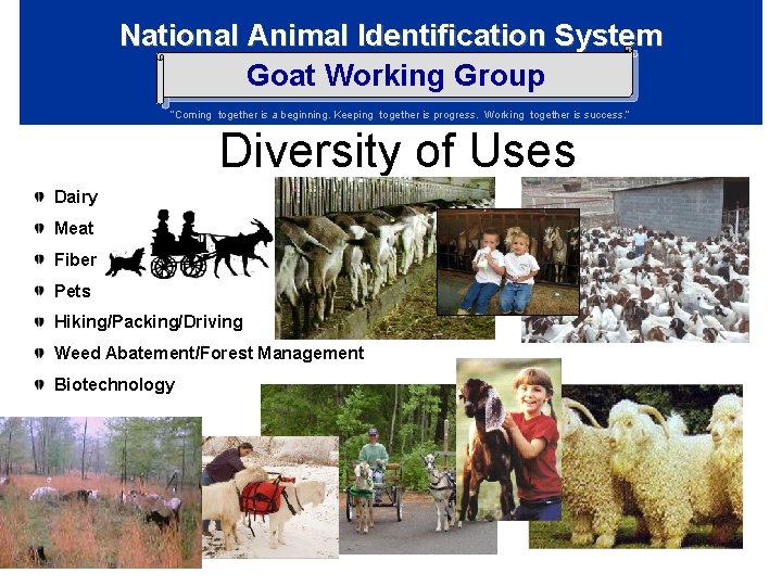 National Animal Identification System Goat Working Group “Coming together is a beginning. Keeping together National Animal Identification System Goat Working Group “Coming together is a beginning. Keeping together
