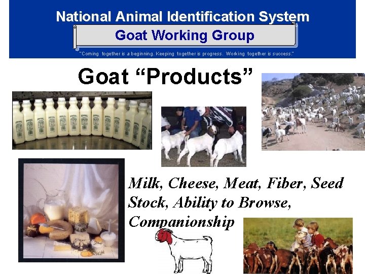National Animal Identification System Goat Working Group “Coming together is a beginning. Keeping together National Animal Identification System Goat Working Group “Coming together is a beginning. Keeping together