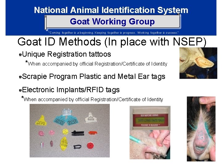 National Animal Identification System Goat Working Group “Coming together is a beginning. Keeping together National Animal Identification System Goat Working Group “Coming together is a beginning. Keeping together