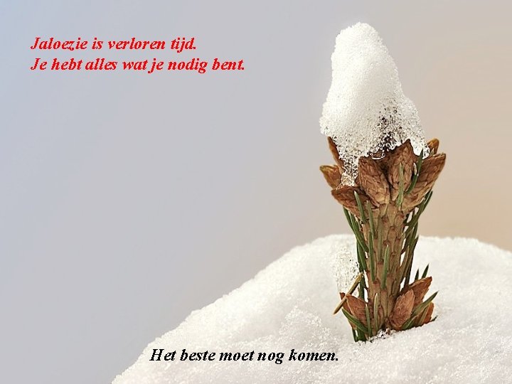 Jaloezie is verloren tijd. Je hebt alles wat je nodig bent. Het beste moet