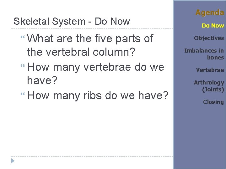 Skeletal System Do Now What are the five