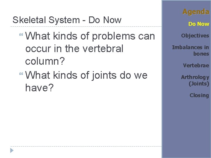 Skeletal System Do Now What are the five